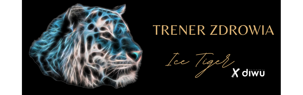 Koszulki Ice Tiger – Odzież Treningowa Sebastiana Zachary | icetiger.pl